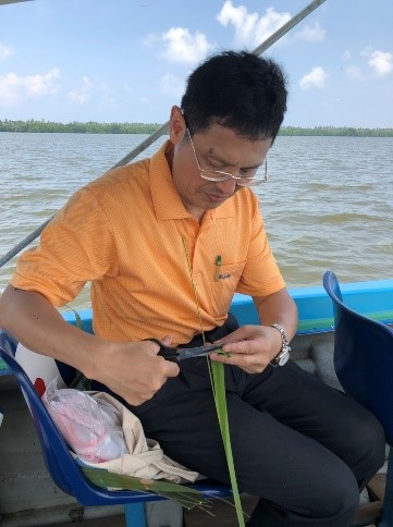圖說，中山大學生物科學系江友中教授採集水椰子樣本