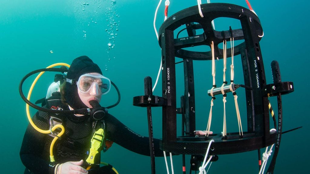 露易絲・威爾森 (Louise Wilson) 配置傳感器與水下聽音器 （攝影師：Paul Caiger；照片經 Paul Panckhurst, University of Auckland 授權使用）